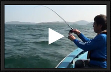 Takes on bream fishing in Hong Kong!