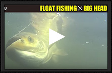 MARUKYU Float fishing (Big Head)