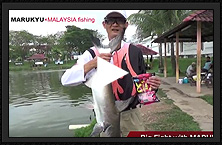MALAYSIA fishing × MARUKYU baits