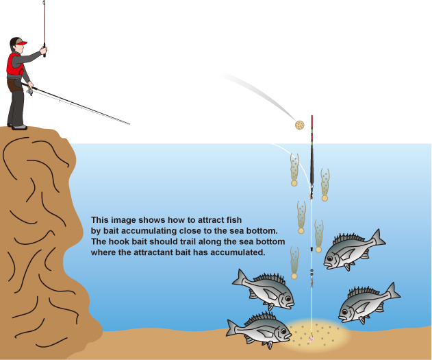 How to Catch Bream - Fishing Guide